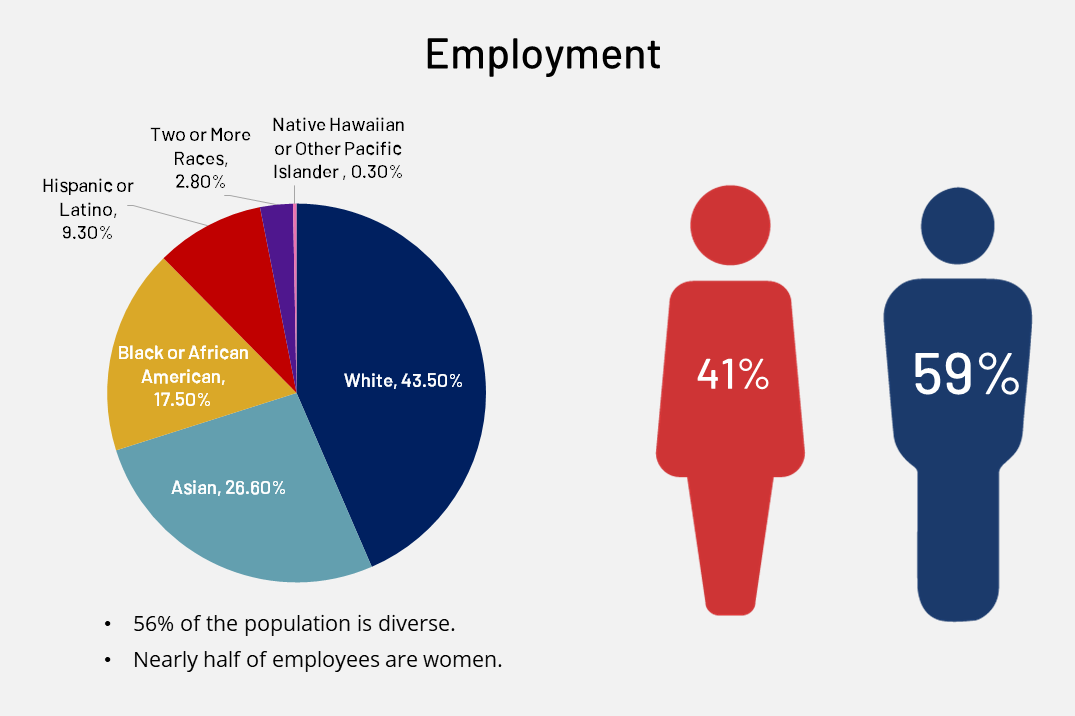 2020 Employment Image