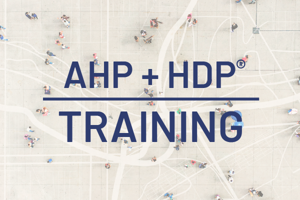 Training_AHP and HDP
